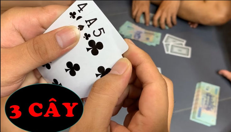 3 cây 10 điểm