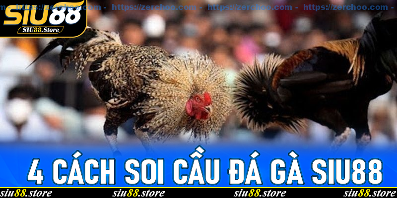 4 Cách Soi Cầu Đá Gà Siu88 Chuẩn Xác Nhất Không Lo Lỗ Vốn