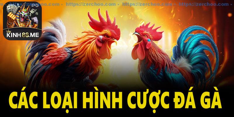 Các loại hình cược đá gà Kinh88