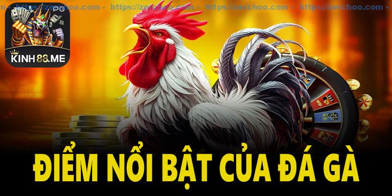 Điểm nổi bật của đá gà Kinh88
